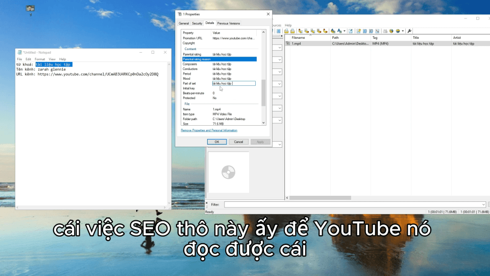 Chương 6.1:  Seo thô 